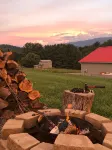 Adjacent to South Holston River. Pet/smoke free!  Great fishing! Close to BMS! - 4-Star