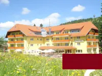 Burg Hotel Feldberg - Balcony