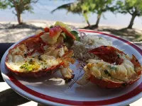 Xcalak Caribe Lodge - Pet Friendly