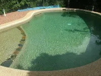 Atherton Blue Gum - Pools