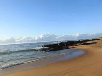 阿爾伯塔皇宮海灘度假村 - 寵物友善
