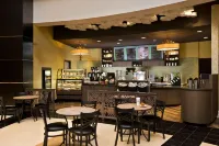 Saratoga Casino Hotel - bar