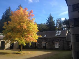 Hearthstanes Steading