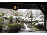黑川温泉 夢龍膽 - 溫泉