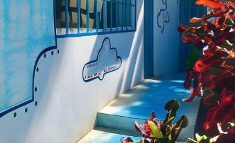 Surf N Roll House