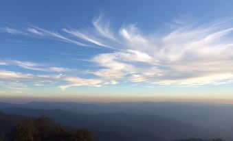 Tree of Life Grand Oak Manor Binsar