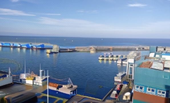 4. 드림제주호텔..