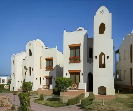 Amphoras Aqua Adults Friendly