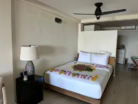 Mt. Plaisir Estate Hotel - Parkplatz