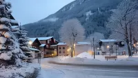 Hotel Mallnitz Hotels near Seebachtal