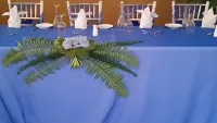 Hotel Tim Bamboo Hotels in Port Antonio