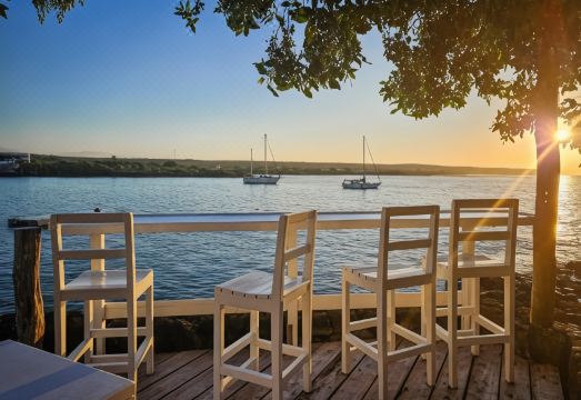 2. 쿠쿠베 스위트..