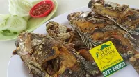 Putri Duyung Guest House Hotels in Karanganyar