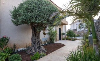 Tavor View Suites