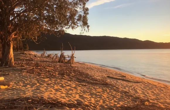 探險馬拉豪青年旅舍