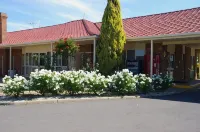 Pines Country Club Motor Inn