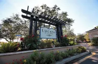 مارفيلوس 3 بد دو كلوس تو ديزني لوكايا ريزورت 107 5364