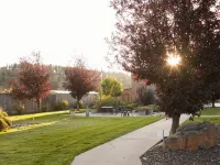 Black Hills Luxury Suites Hotels in Hill City