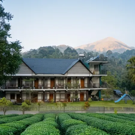 Jungle View Resort