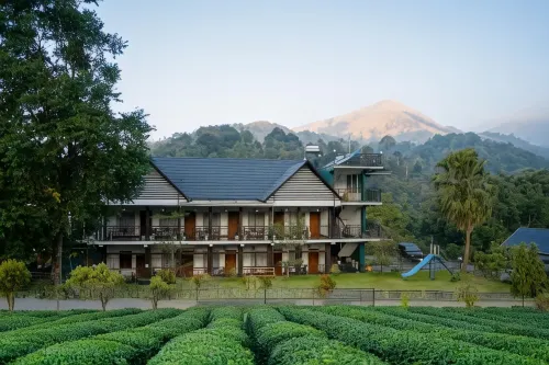 Jungle View Resort - Apartments