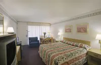 Econo Lodge Carlsbad Caverns Area