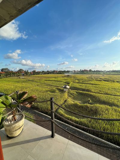 View from Hotel Canggu Hype Photo