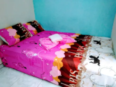 Pinky Guest House
