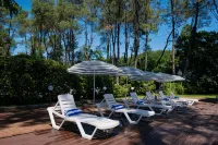 Buxus Hotel Shekvetili Hotels in Tskaltsminda