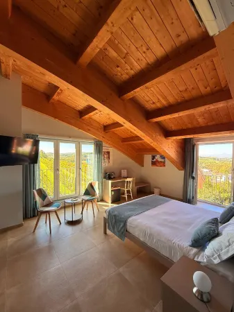 Dellavalle  Guest  House Отели в г. Вильяно-д'Асти