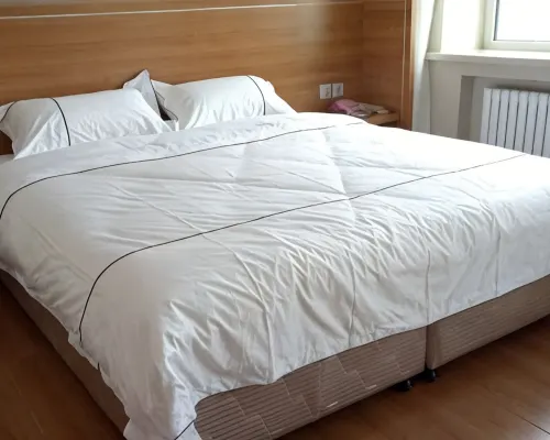 Huaxijingpinbinguan Hotels in Suihua