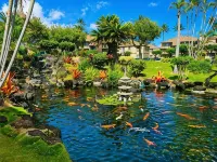 1 Bedroom Ocean View Condo F308 - Pono Kai Hotels in Kapaʻa