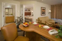 Candlewood Suites CAPE GIRARDEAU by IHG