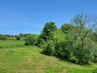 Prince Edward County Pond-Side Getaway! Family-friendly private oasis!