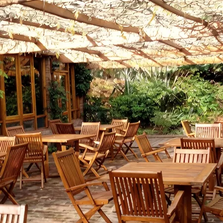 Hotel del Bosque