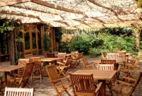 Hotel del Bosque