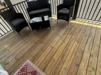 Charming 2-bedroom PET FRIENDLY cabin in Steinhatchee Hotels in Steinhatchee