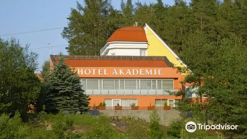 Hotel Akademie - bar