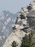Floral Hotel·Huashan Qishan Hotel (Huashan Scenic Area Visitor Center) - Pet friendly