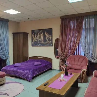 Limon Na Shostakovicha Mini-Hotel 帕尔纳斯站附近的飯店