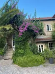 QUINTA DE RIBAS - Les Bougainvilliers charming house for families or groups