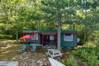 Charming Camp on Water's Edge---Canoe, Loons, Turkeys, Fish and an Eagle - Alphydda