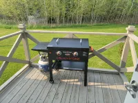 Relaxing Lake View Home, Pet Friendly, Central Location.  Close to Ferries! - Wi-Fi