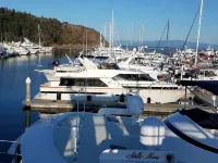 Cute Cottage, Close to Everything Anacortes Has to Offer. Discounts Available