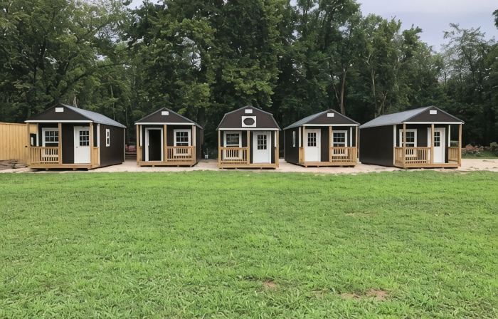 “Leroy” One of the 5 Tiny Cabins on the Osage River