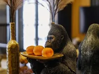 アパルタメント シカゴ ノヴィ・タルクのホテル