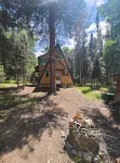 Cozy Cabin