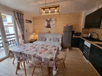 45 m2 FULLY RENOVATED APARTMENT IN THE HEART OF THE ANGLES 4/6 BEDROOMS Hotels in Les Angles
