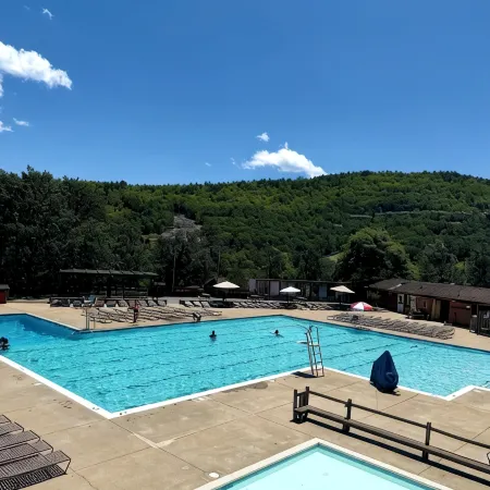 Cottage Near Water Park, Golf and Skiing at Massanutten Resort! Отели в г. Мак-Гиисвилл