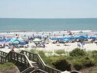 Sea Pines, Amazing Complete Remodel, Walk to the Beach Club, Two free bikes - Villas