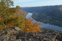 Pension Zum Ebenstein am Donausteig - Pensionat
